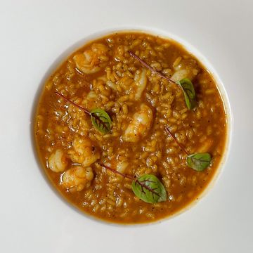 Calasparra Rice | Shrimp | Truffle