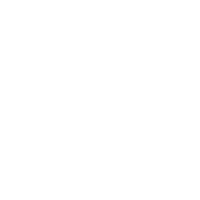 DT Precision