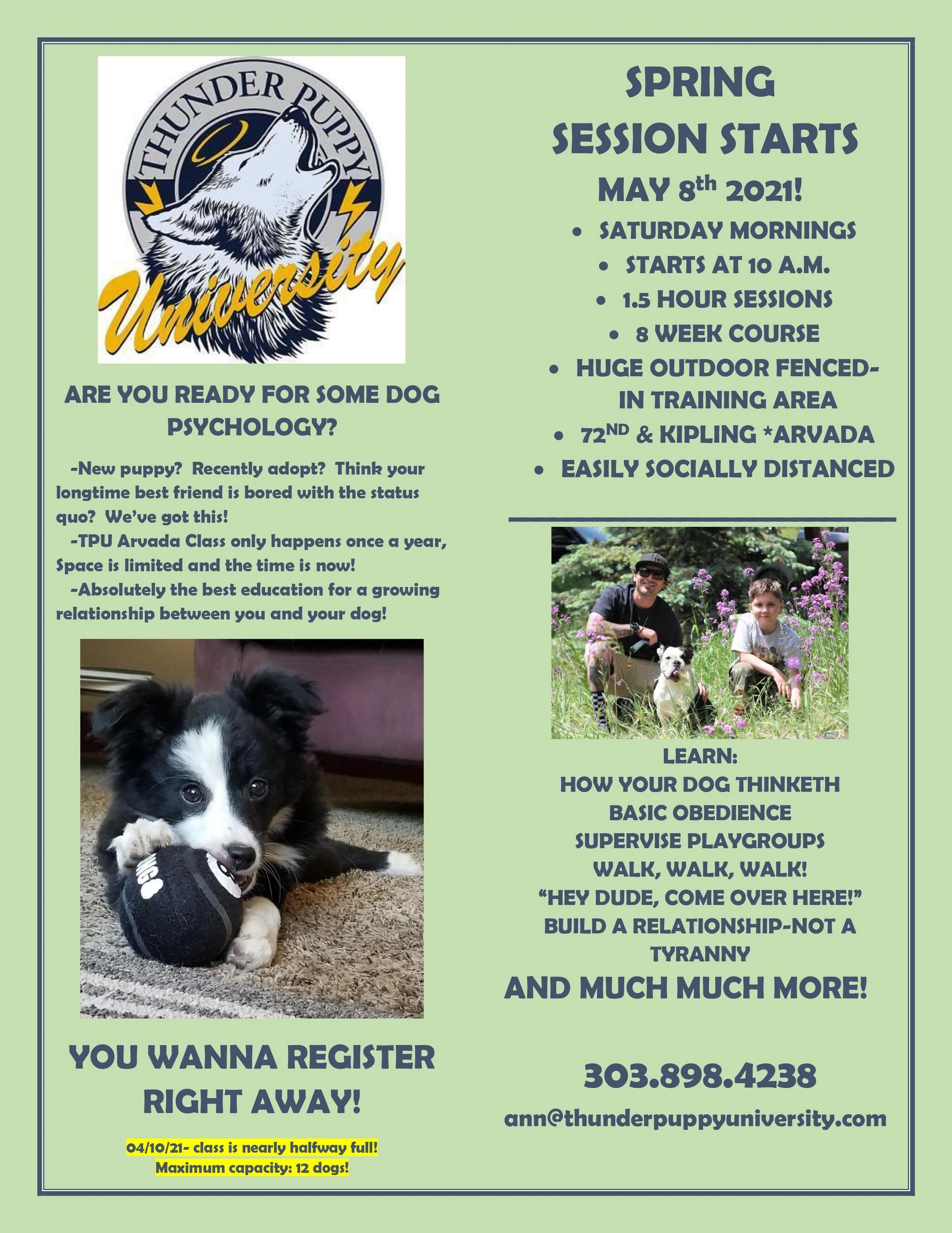 Why Do Dogs Take Your Spot