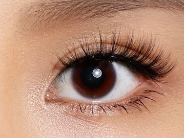 Hybrid Asian Lash Extensions, Luxi & Co.