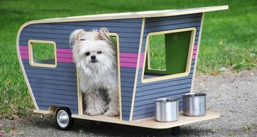 Mini dog camper. Small pet van. Dog in camping van. Purple van. Little dog RV.  Doggy in toy van. 