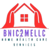 BNIC2MEL LLC