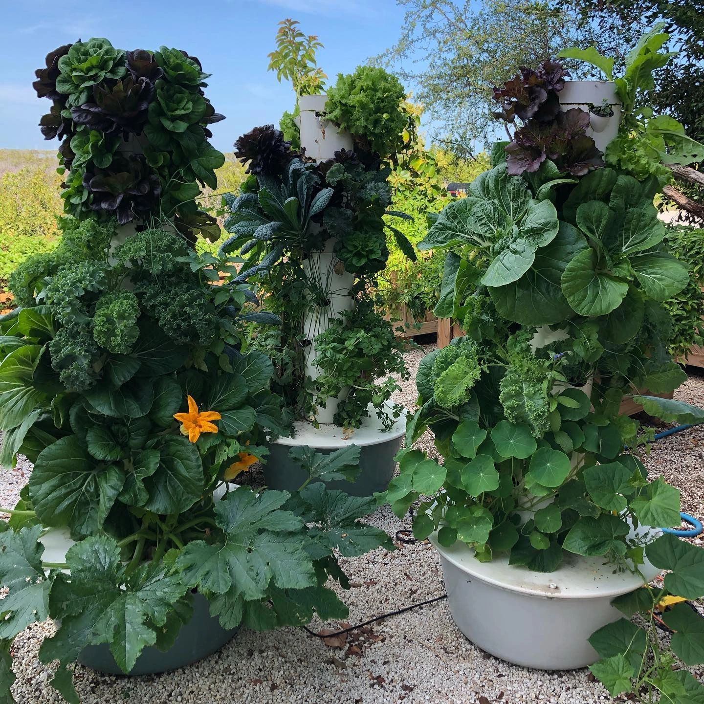 Aeroponic Gardening with Tower Garden