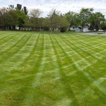 Freshly mowed green lawn with striped patterns under a cloudy sky.