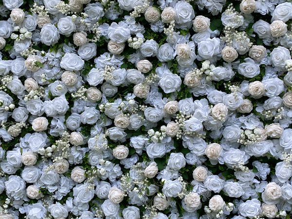 Champagne and White Flower Wall