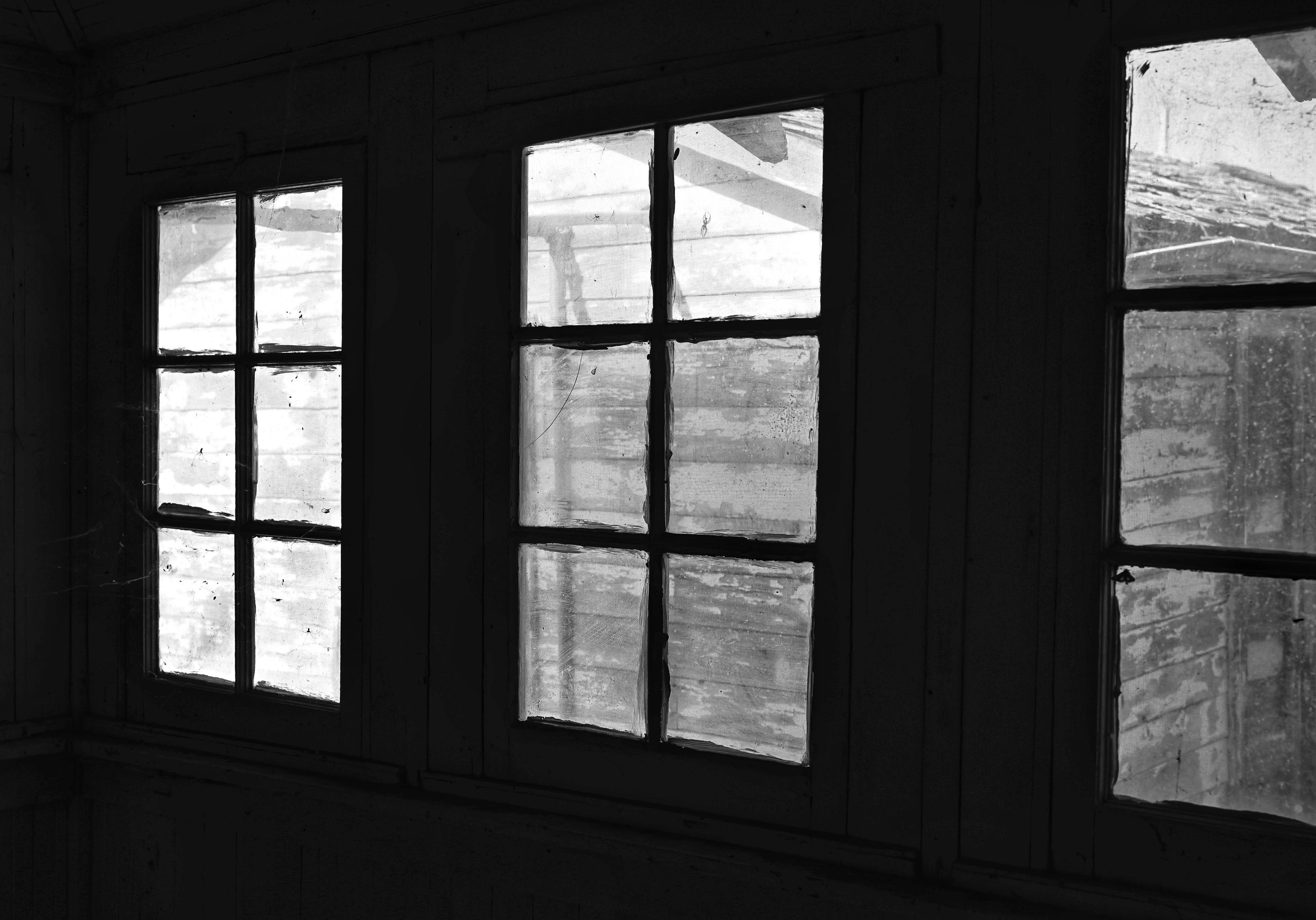 Black and white photo of a decorated metal grate window with blurred background.