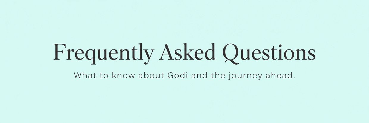 Frequently Asked Questions about Godi and its journey.