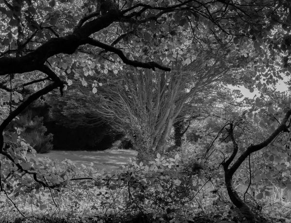 Canon R5 - Falmouth, Cornwall
