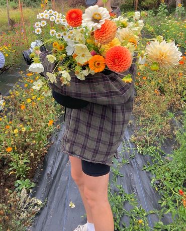 Person holding a vibrant bouquet of flowers in a garden.