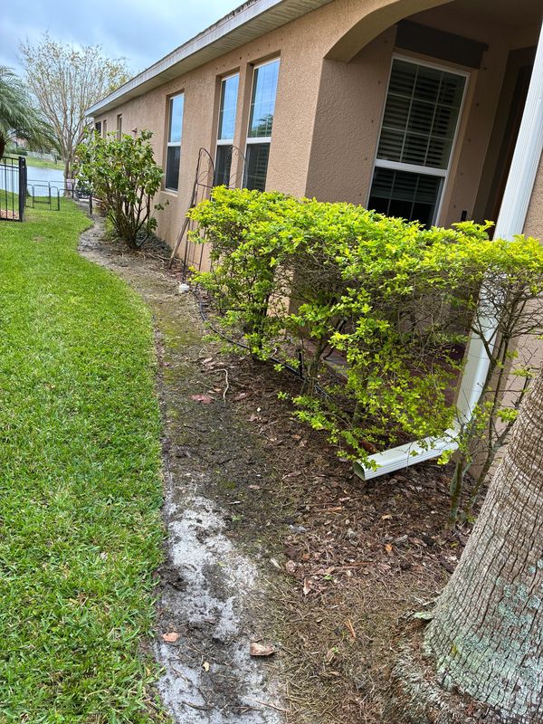 Before - A house exterior with trimmed bushes and a patch of bare soil beside the lawn.