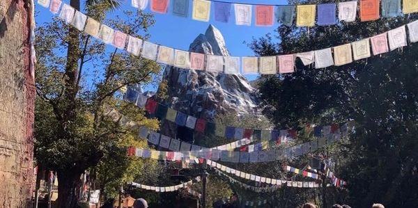 Mount Everest in Animal Kingdom at Walt Disney World Resort.