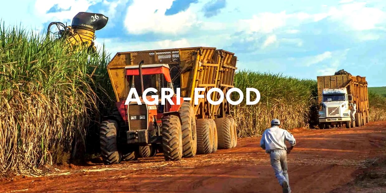 Agri-food, sugar