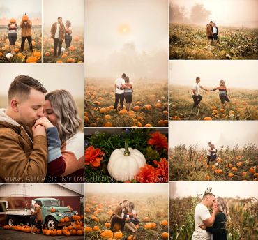 Couple enjoying romantic moments in a foggy pumpkin patch.