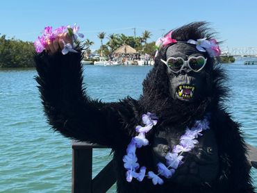 Person in gorilla costume with sunglasses and flower leis by the water.