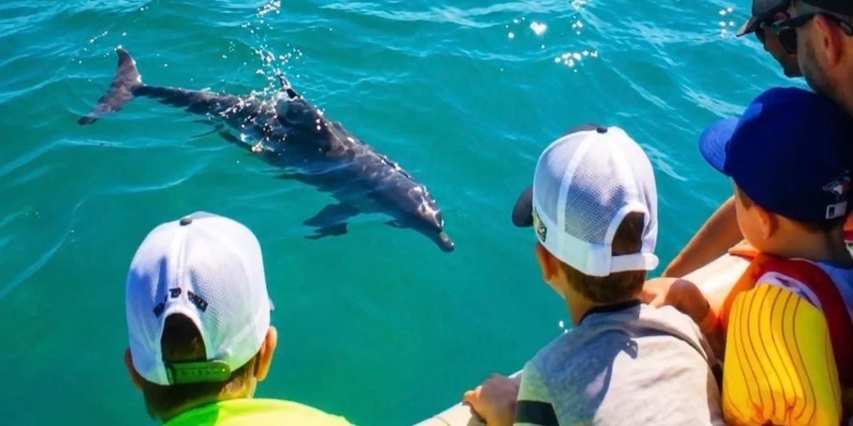 Casey Key Tiki Tours Dolphin Tour Picture