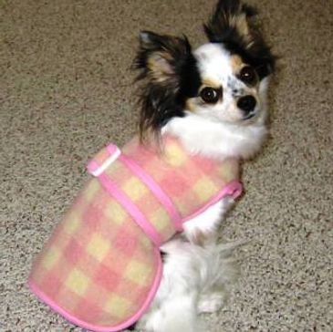 Dog coats by Good Shepherd Designs