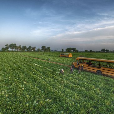 Farms located across the Florida countryside