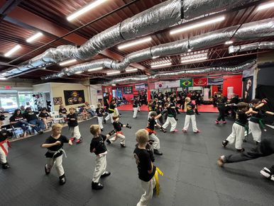 Kid's Martial Arts classes Danny Williams Combat Martial Arts Program Granbury, Texas 