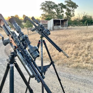 rabbit infestation rural property 
rural pest control
pest control near me
pigeon eradication