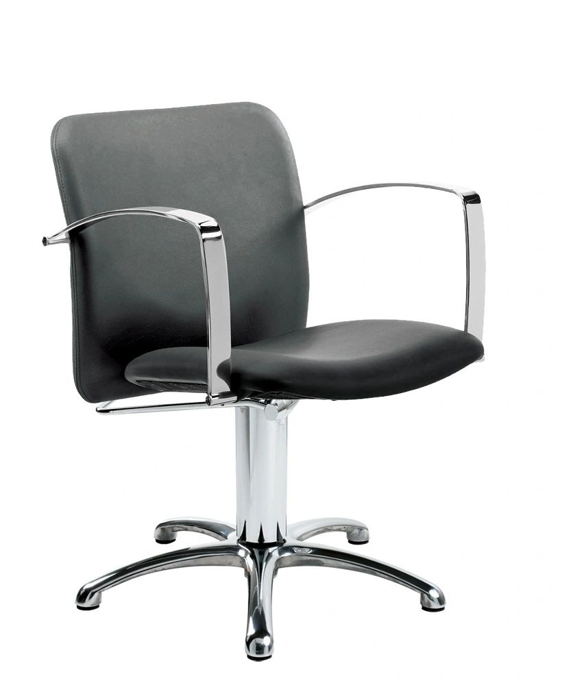 The Best Priced Salon Chair But You Shouldn T Buy One   Pietranera Salon Chair By Inspiring Salons 