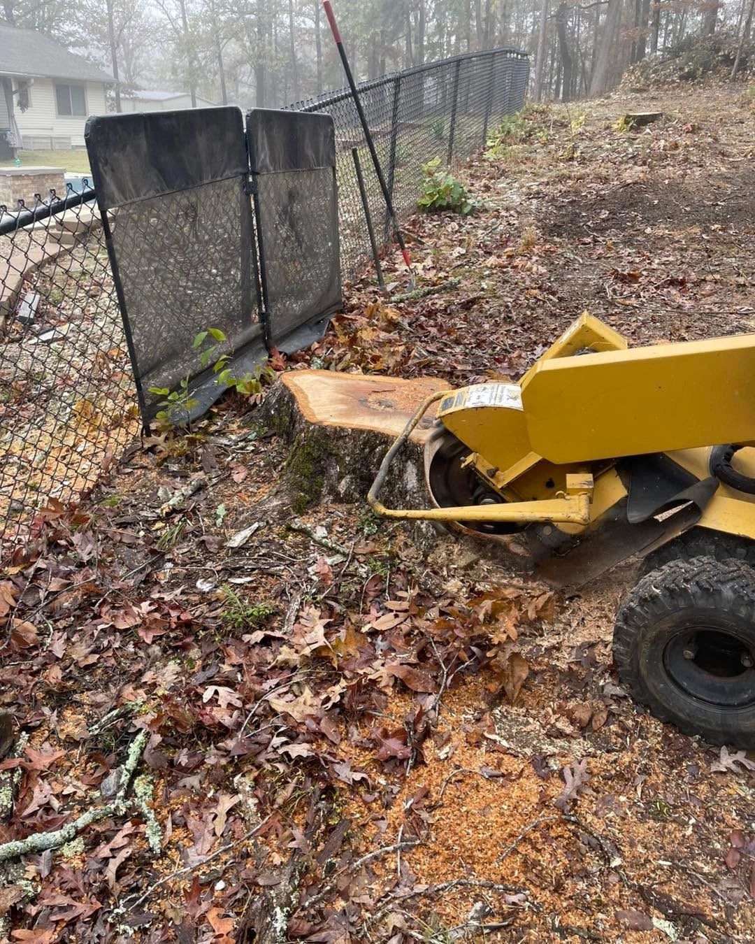 Image showcasing Flash Stump Grinding Services - Stump Grinding - Tampa, Florida