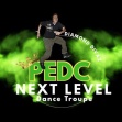 PRINCEE DANCE CO