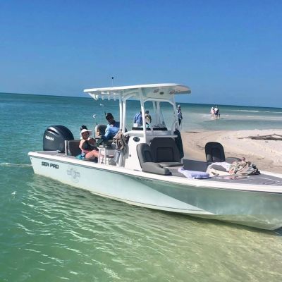 Boat with people near a sandy beach on clear water.