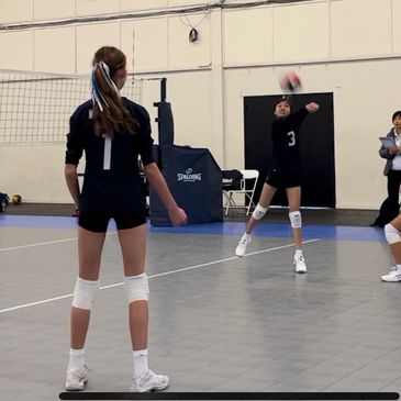 White Stone Volleyball Club - Indoor Volleyball for All Ages