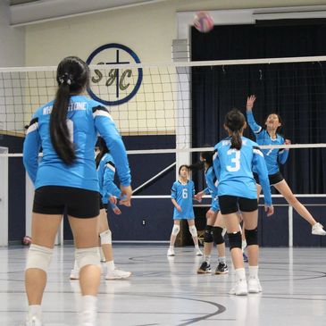 White Stone Volleyball Club - Indoor Volleyball for All Ages