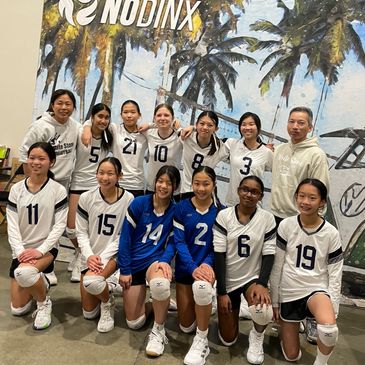 White Stone Volleyball Club - Indoor Volleyball for All Ages