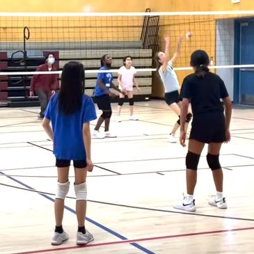 White Stone Volleyball Club - Indoor Volleyball for All Ages