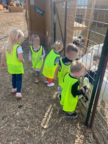 Children in bright vests feeding animals through a fence.