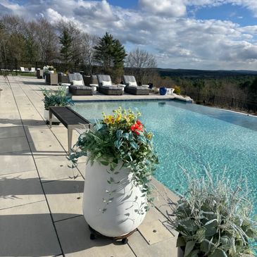 Outdoor pool with lounge chairs and vibrant plants under a partly cloudy sky.