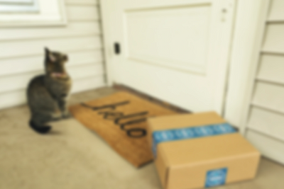 box and cat on doormat