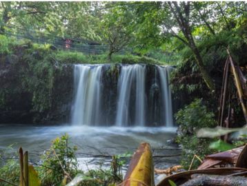 always an holistic approach