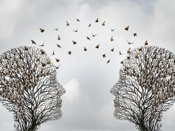 This is your journey and I am here to ease the stress and ensure your vision becomes a reality 