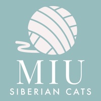 Miu Siberian Cats