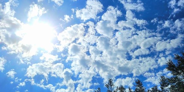 Florida Sunshine
Welcome to Sunshine Short Term Rentals