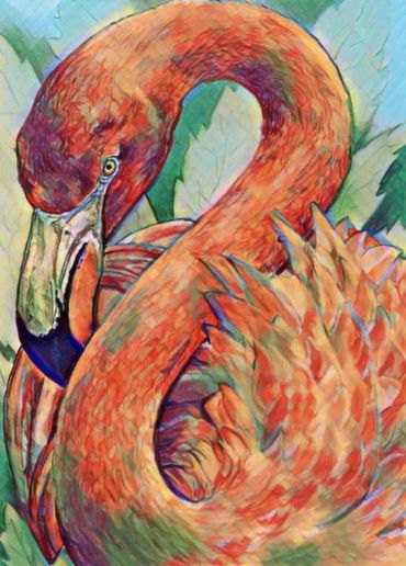 Flamingo drawn by John Petermeier
