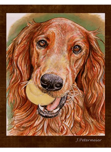 Brown dog drawn by John Petermeier