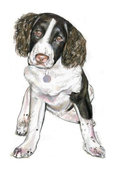 Friendly dog drawn by John Petermeier