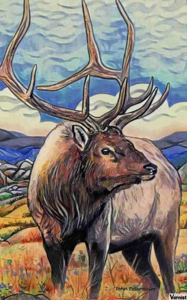 Elk drawn by John Petermeier