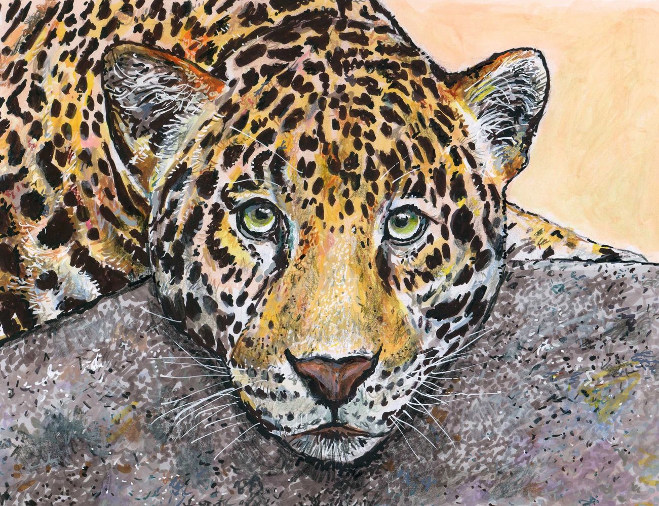 The pencil drawing of a leopard by John Petermeier is just one of 100s of art pieces John has create