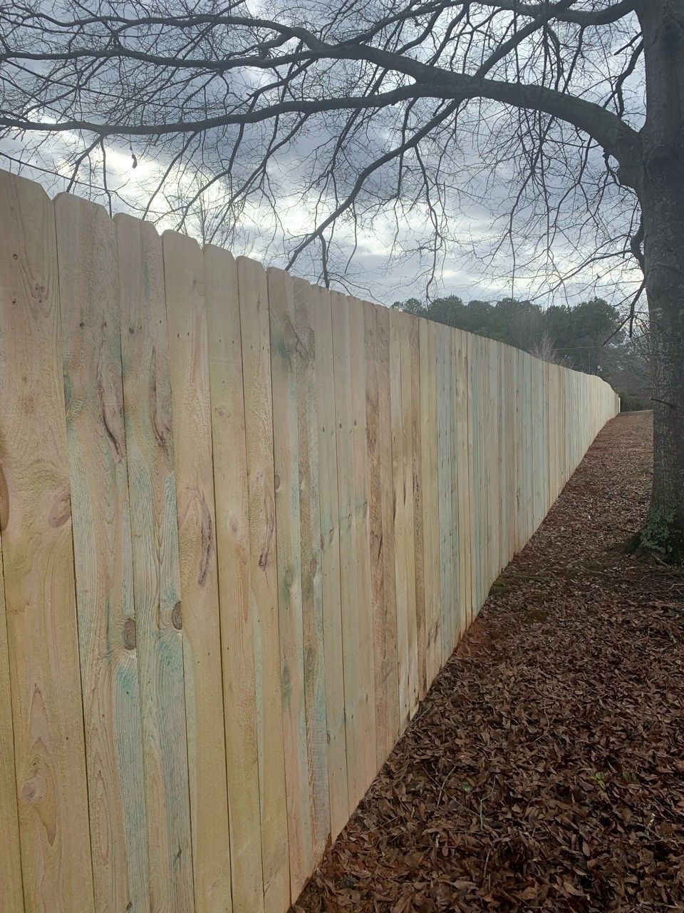 Long wooden fence with bare trees and dry leaves.