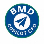 Fractional cfo and tax advisor
