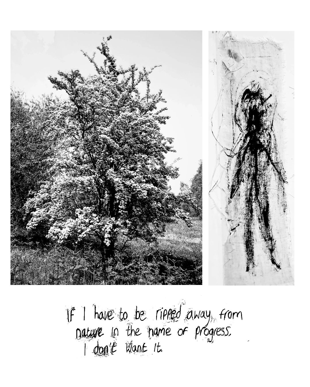 A flowering tree and abstract human figure with environmental message.