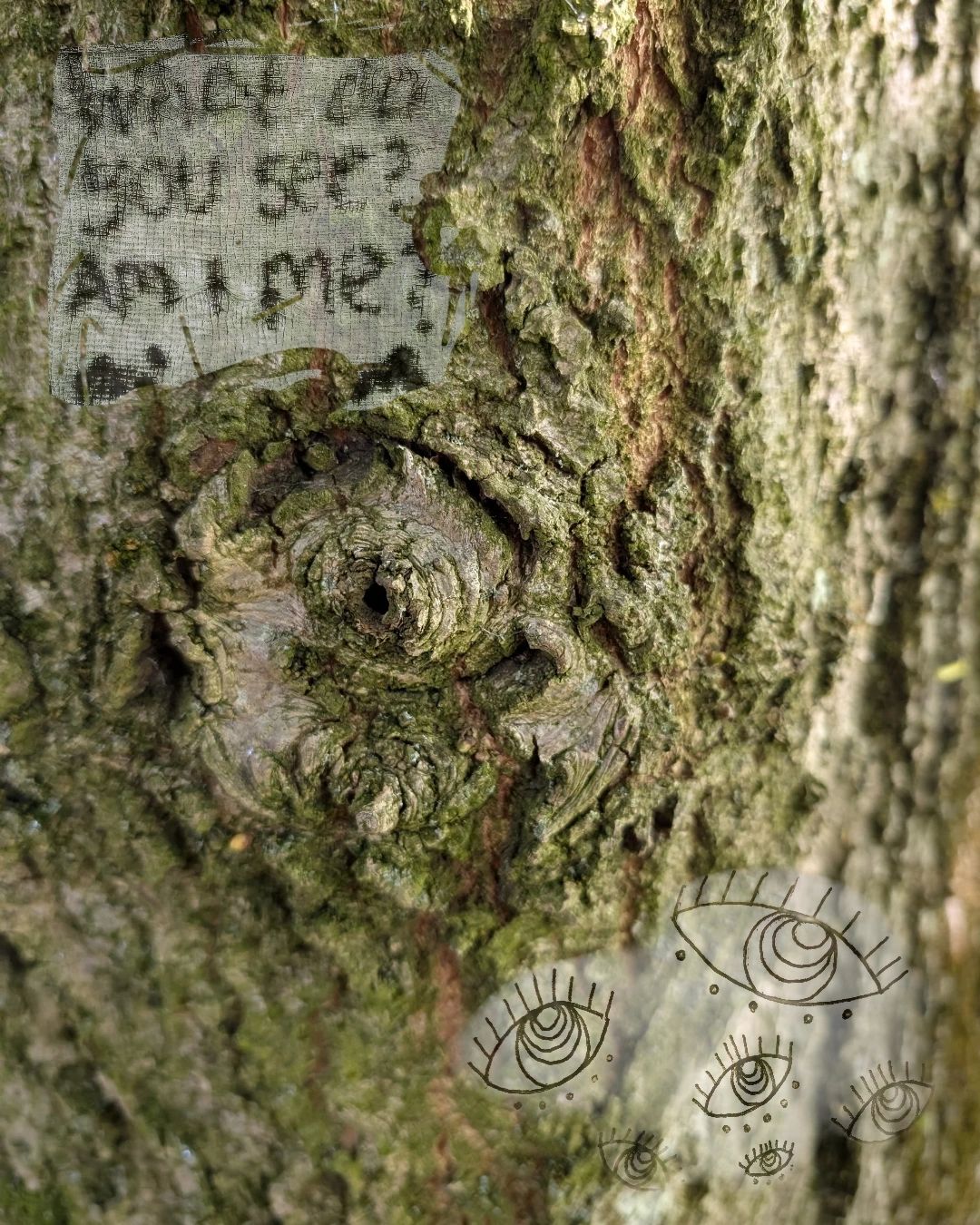 Tree bark resembling a human face with drawn eyes and a note saying "What do you see? Am I me?"
