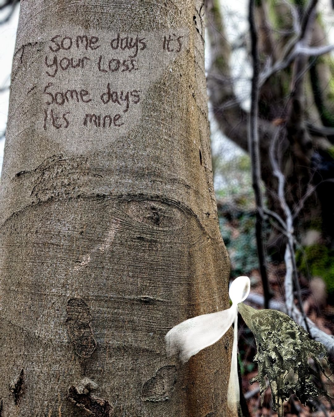 Tree bark with carved words about loss in a forest setting.
