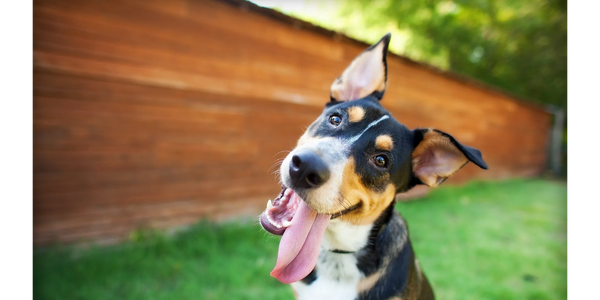 Not accepting any new 