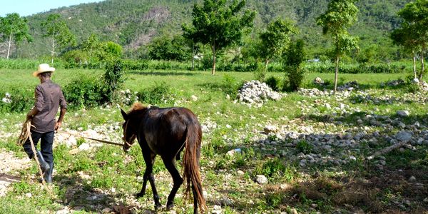 Farmers in Haiti are unable to farm due to a lack of agriculture resources in the country.